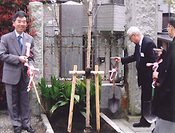 蒲谷市長（当時）と田中前会長による、桜の木の植樹